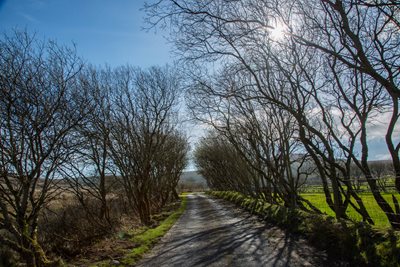  Roadside Hedge Cutting Urged To Ensure Road Safety