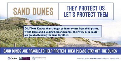 Sand Dunes: They Protect Us, Let's Protect Them