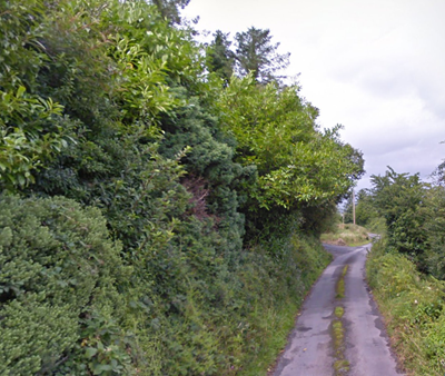Roadside Hedge Cutting Urged To Ensure Road Safety