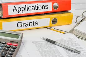 Parent & Toddler Grant Funding Guidelines & Application Form